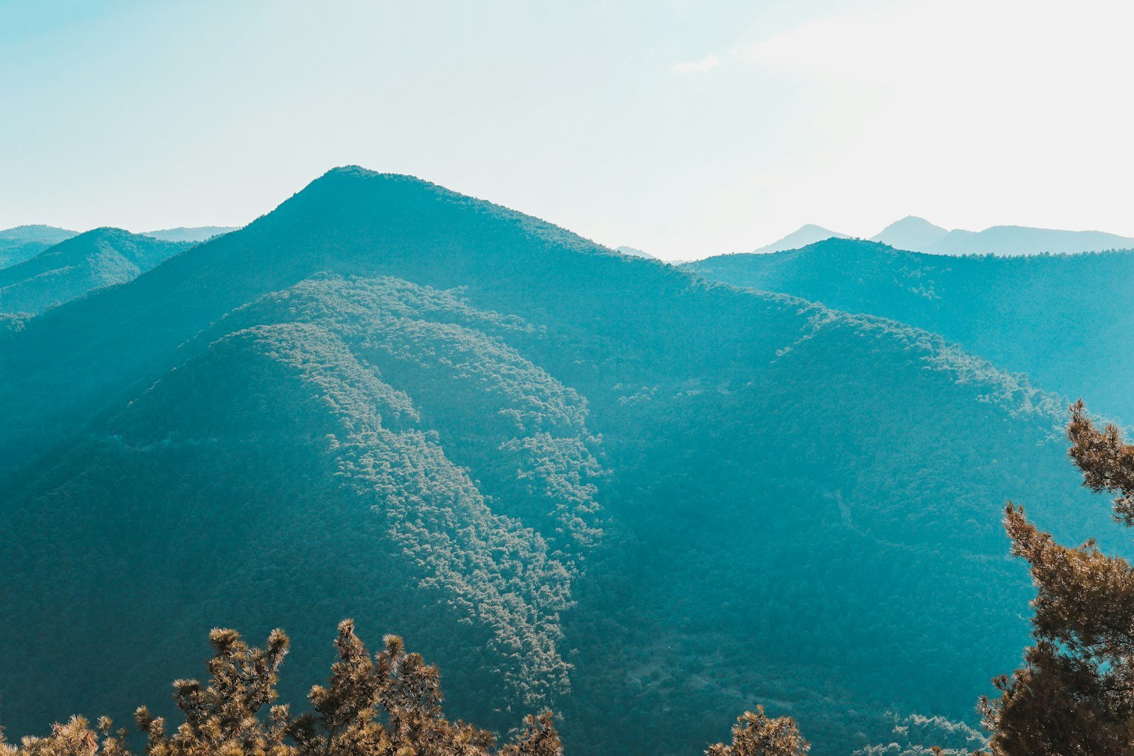 A serene landscape with mountains and a clear blue sky, symbolizing sustainability and knowledge.